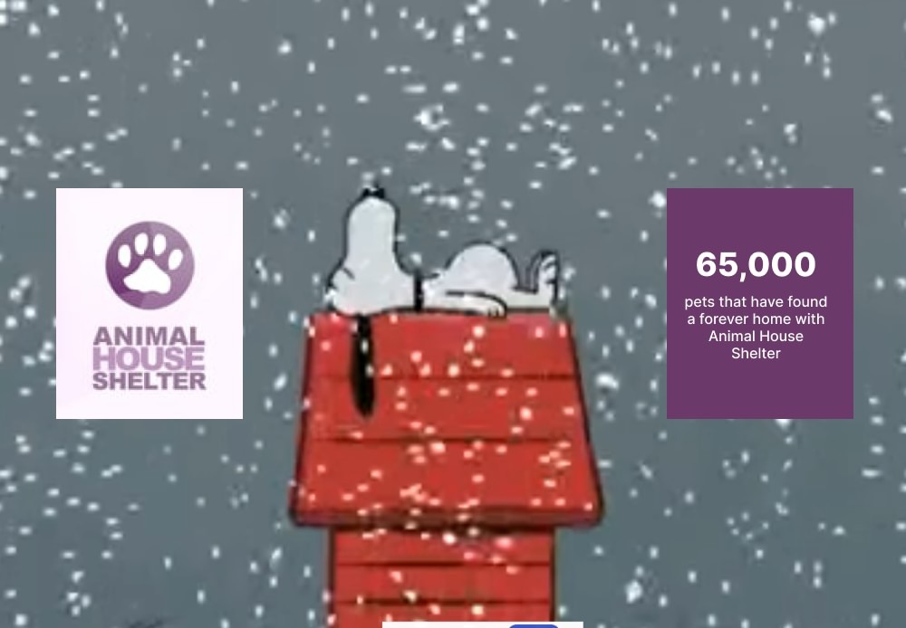 JOTR Animal House Shelter Rescue Run 2024